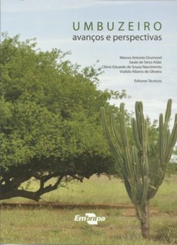Umbuzeiro: avanços e perspectivas