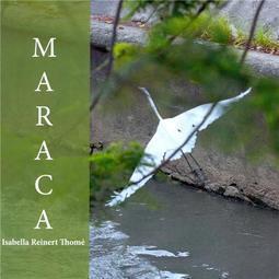 Maraca