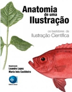 Anatomia de uma ilustração