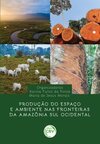 Produção do espaço e ambiente nas fronteiras da Amazônia sul ocidental