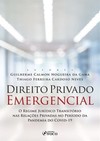Direito privado emergencial: o regime jurídico transitório nas relações privadas no período da pandemia do COVID-19