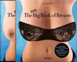 THE LITTLE BIG BOOK OF BREASTS