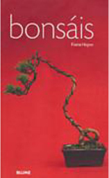 Bonsáis - Importado
