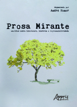 Prosa mirante: escritos sobre literatura, história e representatividade