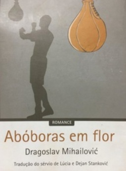 Abóboras em flor