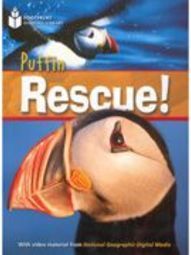 Puffin Rescue!