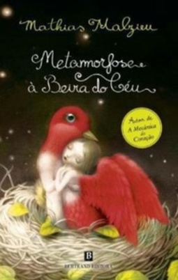 Metamorfose à Beira do Céu