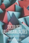 Sociologia das organizações: conceitos, relatos e casos