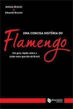 UMA CONCISA HISTORIA DO FLAMENGO: UM GUI... DO BRASIL