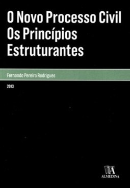 O novo processo civil: os princípios estruturantes