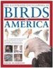 THEILLUSTRATED ENCYCLOPEDIA OF BIRDS OF  AME