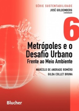 Metrópoles e o desafio urbano: frente ao meio ambiente