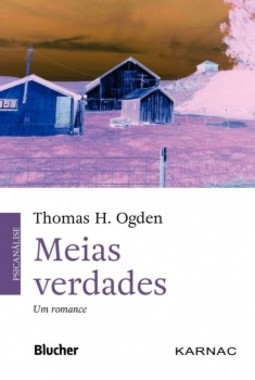 Meias verdades: um romance
