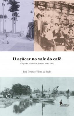 O açúcar no vale do café: engenho central de Lorena 1881-1901