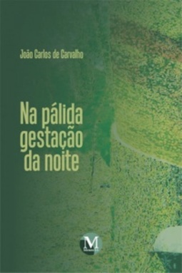 Na pálida gestação da noite