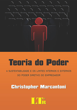 Teoria do poder: A sustentabilidade e os limites internos e externos do poder diretivo do empregador