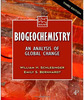 Biogeochemistry: An Analysis of Global Change
