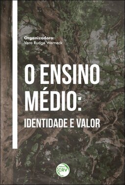 O ensino médio: identidade e valor