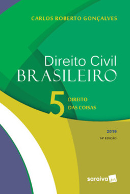 Direito civil brasileiro 2019: direito das coisas