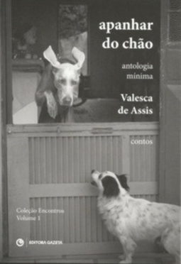 Apanhar do chão (Coleção Encontros #1)