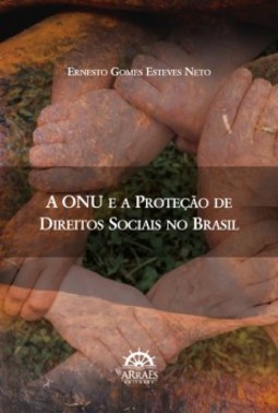 A ONU e a proteção de direitos sociais no Brasil