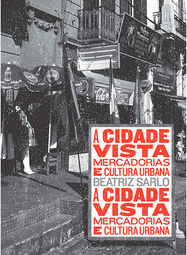 A Cidade Vista