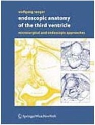 Endoscopic Anatomy of the Third Ventricle - Importado
