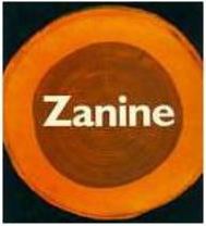 Zanine: Sentir e Fazer