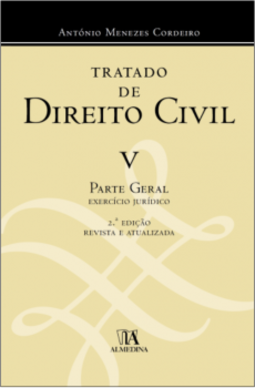 Tratado de direito civil: parte geral - Exercício jurídico