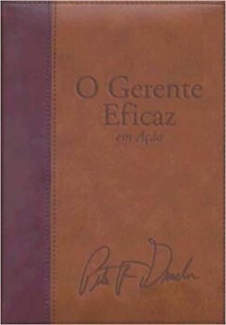 O gestor eficaz em ação