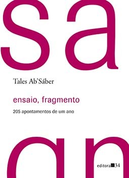 Ensaio, fragmento: 205 apontamentos de um ano