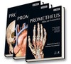 Coleção Prometheus: atlas de anatomia