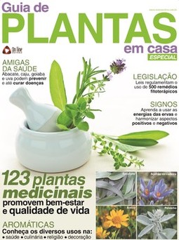 Guia de plantas em casa especial
