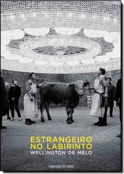 Estrangeiro no Labirinto