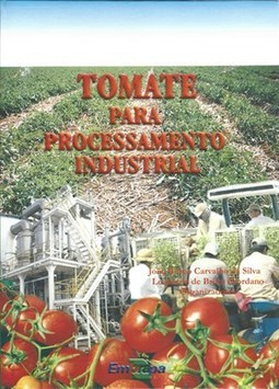 TOMATE PARA PROCESSAMENTO INDUSTRIAL
