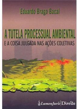 A Tutela Processual Ambiental