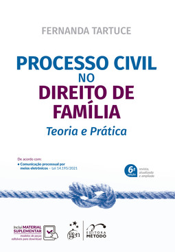 Processo civil no direito de família - Teoria e prática