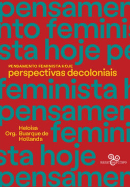 Pensamento feminista hoje: perspectivas decoloniais