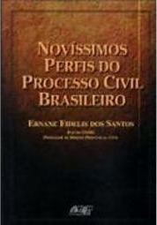 Novíssimos Perfis do Processo Civil Brasileiro