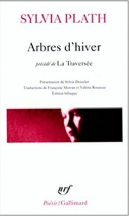 Arbres d'hiver