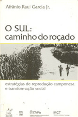 O sul: caminho do roçado - Estratégias de reprodução camponesa e transformação social