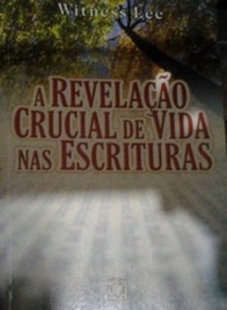 A revelação crucial de vida nas escrituras
