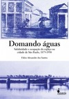 Domando águas: salubridade e ocupação do espaço na cidade de São Paulo, 1875-1930