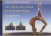 Los Músculos Clave en el Hatha Yoga