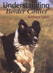 Understanding Border Collies