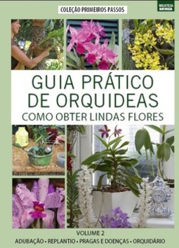Guia prático de orquídeas: como obter lindas flores