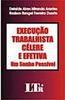 Execução Trabalhista Célebre e Efetiva: um Sonho Possível