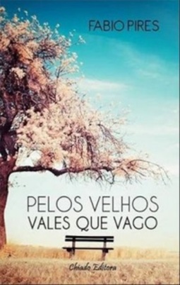 Pelos Velhos Vales que Vago