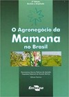 O agronegócio da mamona no Brasil