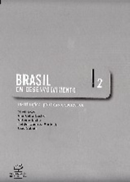 Brasil em Desenvolvimento - vol. 2